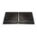 Double Induction Cooker R8494