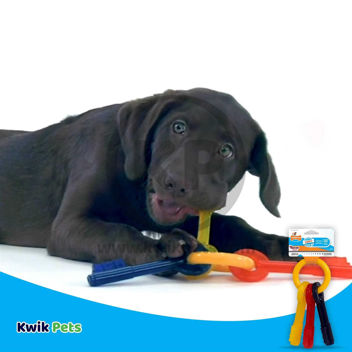 Puppy Chew Teething Keys F292