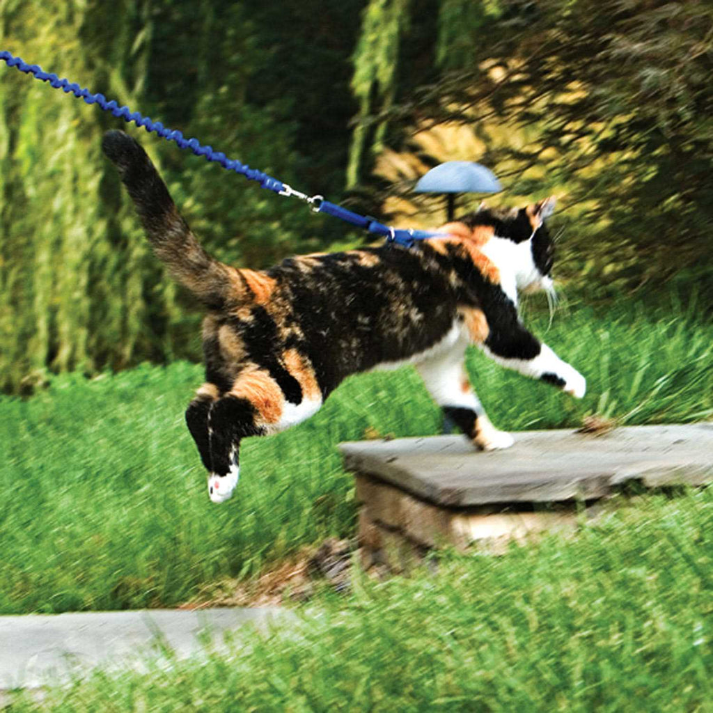 Come with Me Kitty Harness Bungee Leash N966092