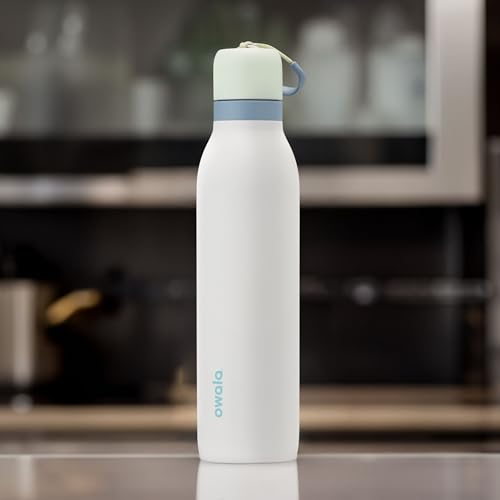24-oz Insulated Stainless Steel Water Bottle I672