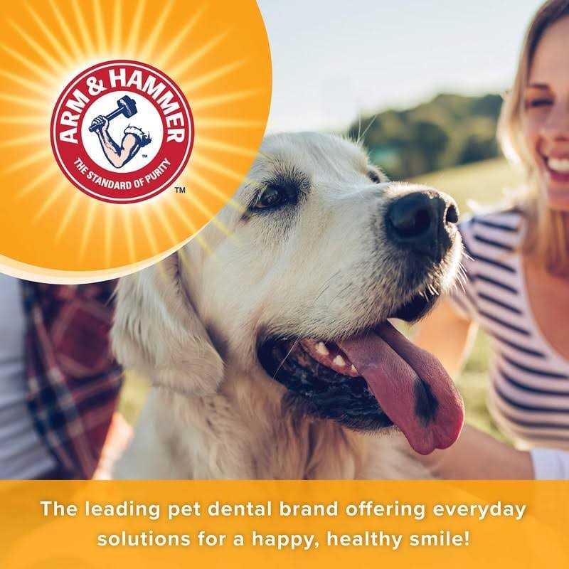 Dog Dental Mints I79878