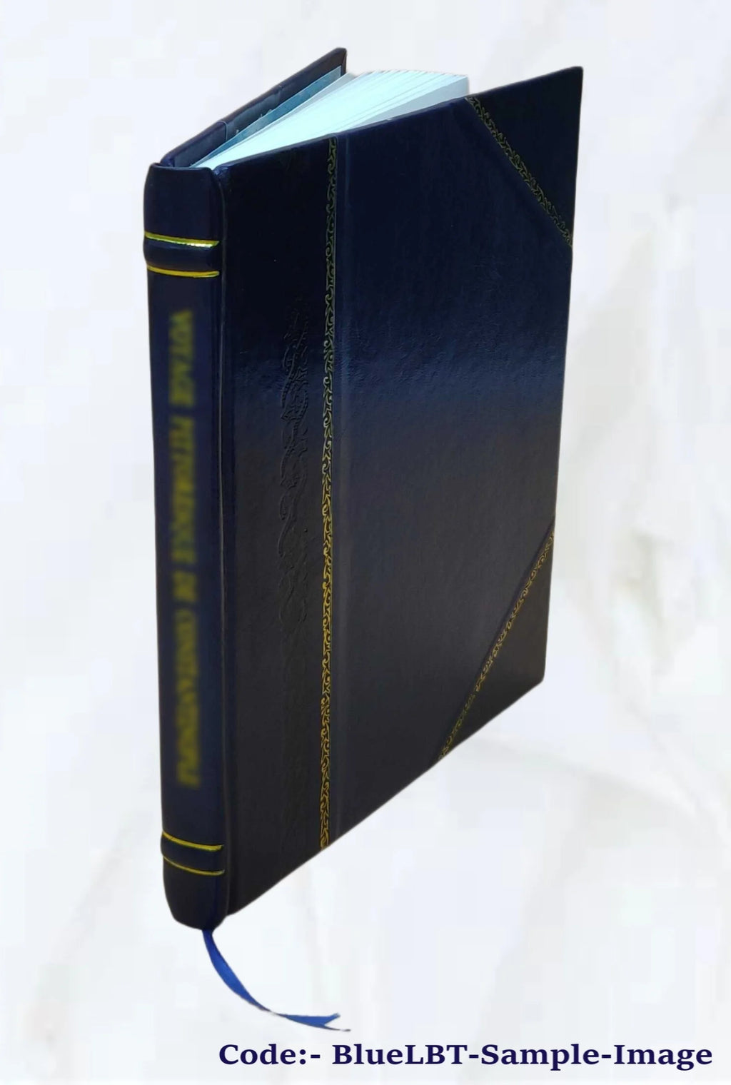 Leather Bound Book N42164