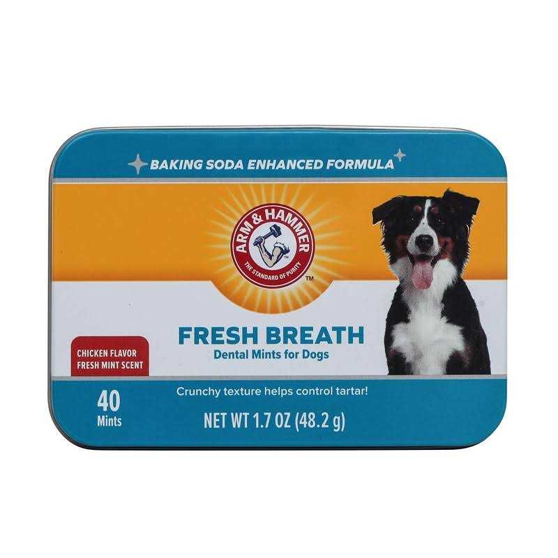 Dog Dental Mints I79878