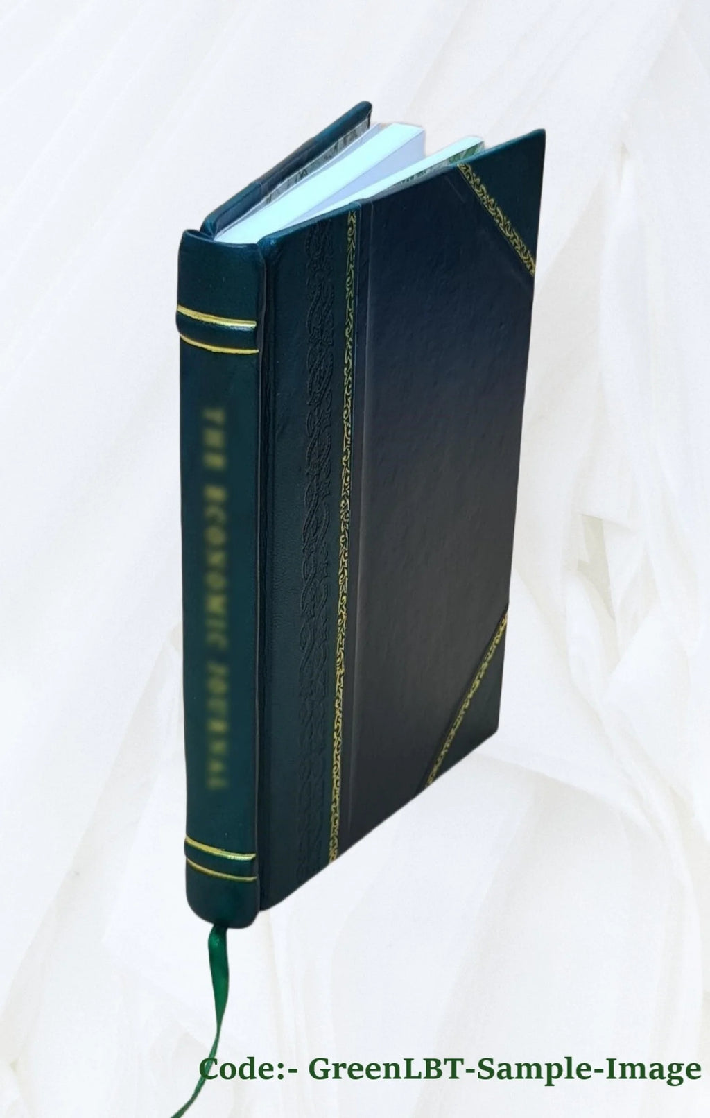 Leather Bound Book N42164