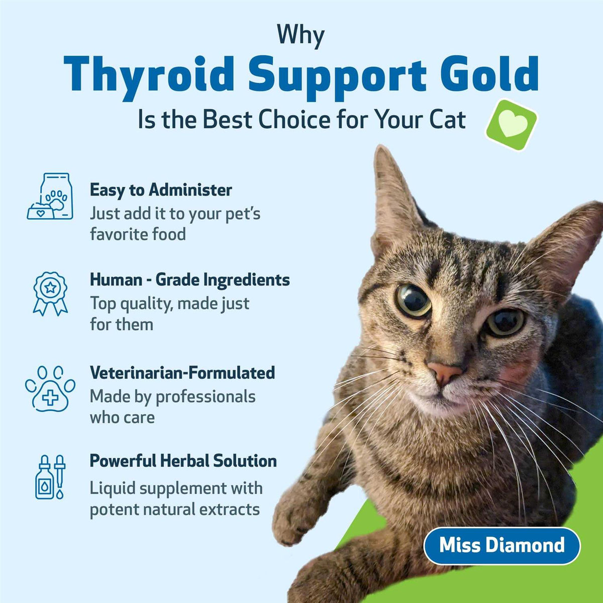 Thyroid Support Gold for Cats R345608