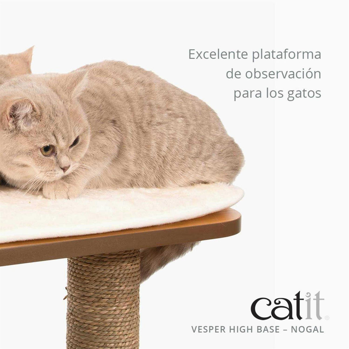 Cat Tree D82855