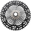 12-Speed Cassette F597