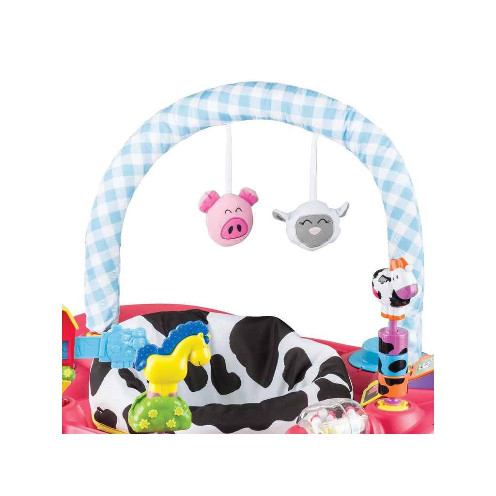Bouncing Activity Saucer F973999
