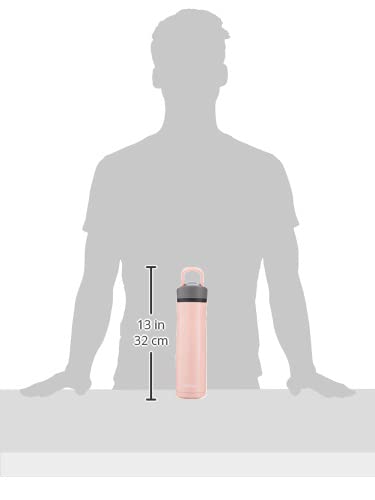 24oz Stainless Steel Water Bottle with Straw & Handle Dual Insulated (Pack of 2) T548408