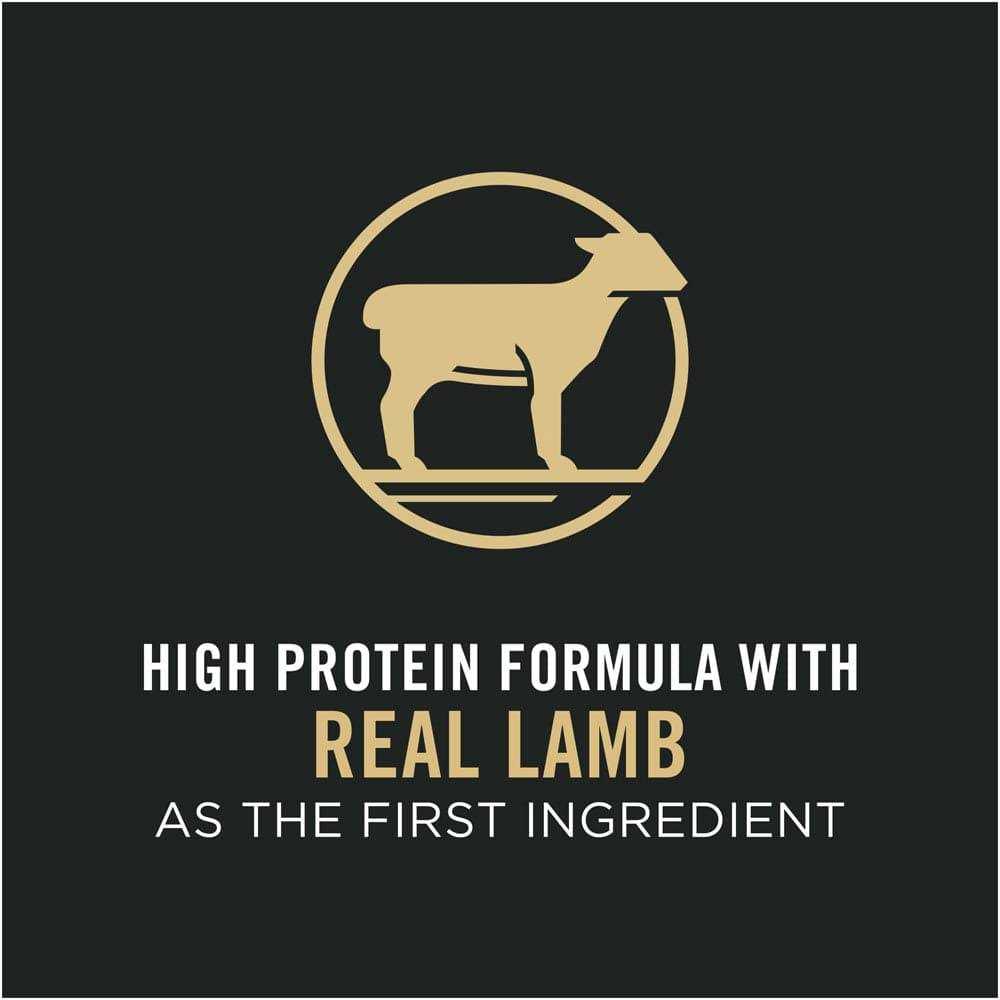 Sensitive Skin & Stomach Lamb & Rice Dry Cat Food O80258