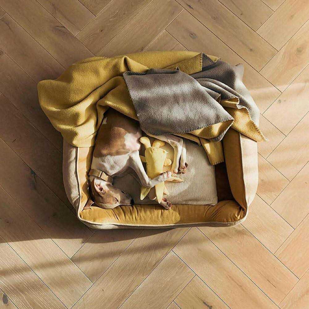 Square Dog Bed C434