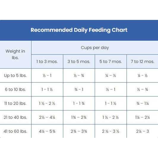 High Protein Natural Puppy Dry Dog Food Chicken J453142
