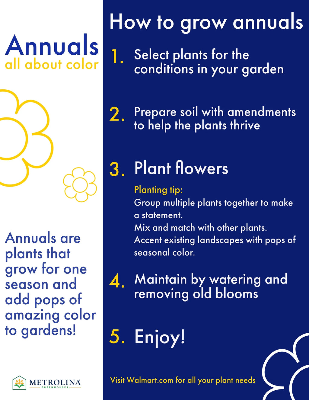 White Peony Live Plants with Grower Pots V4063