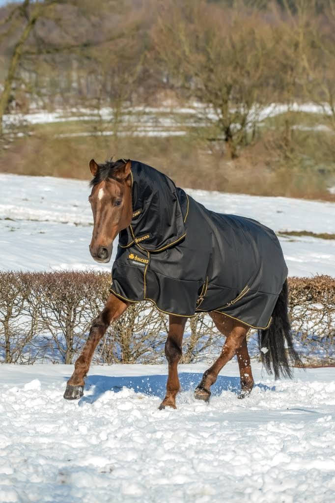 Black Irish Turnout Extra V13942