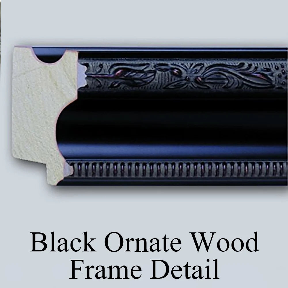 Black Ornate Wood Framed Double Matted Museum Art Print B650