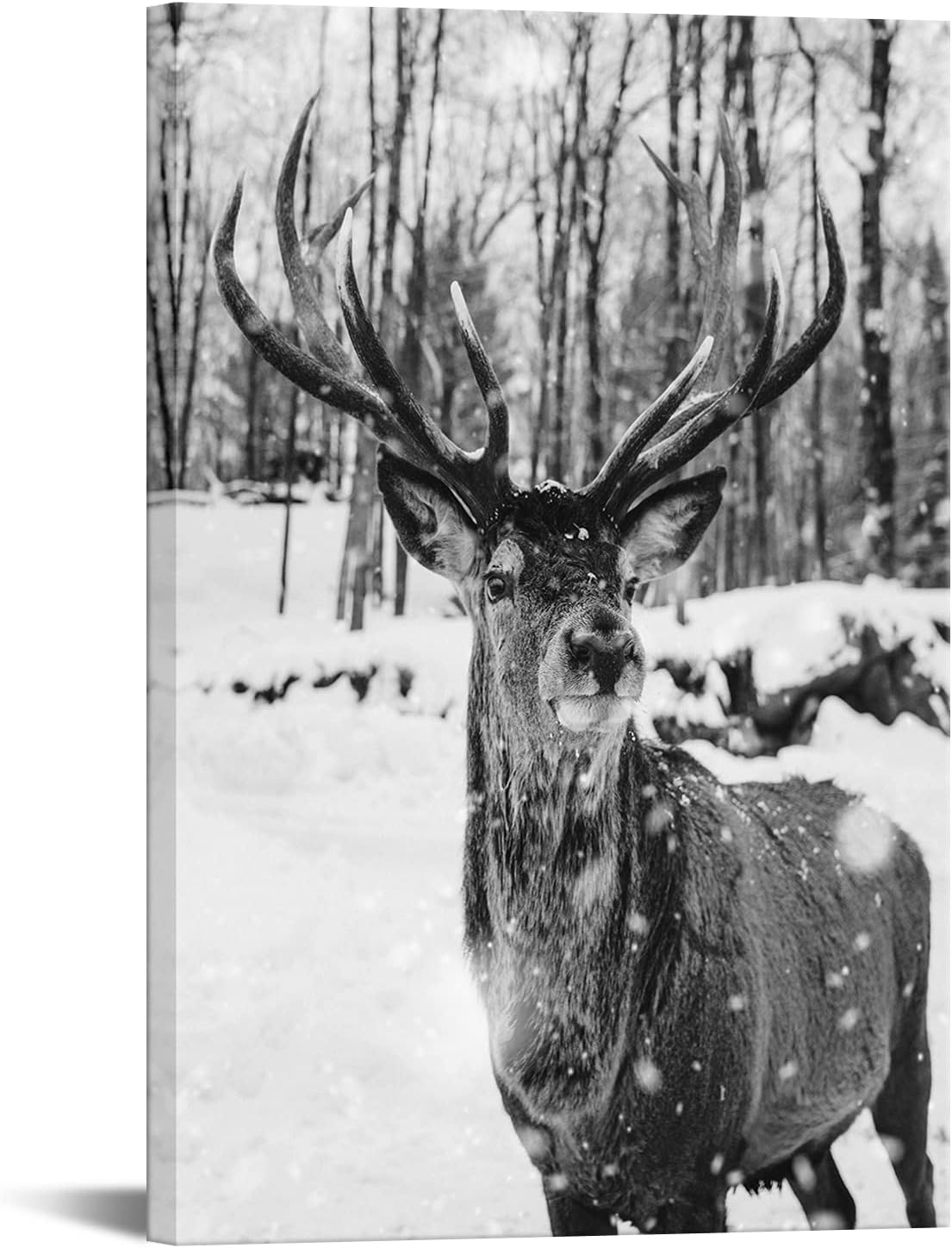 Black and White Deer in Winter Forest Canvas Print Wall Art C5405