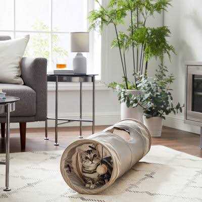 Cat Tunnel Y276563