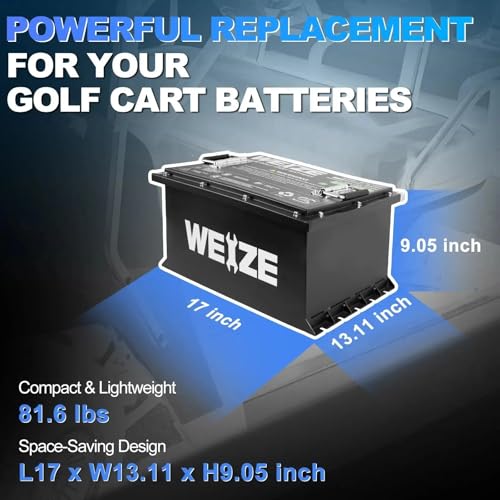 12V 100Ah LiFePO4 Lithium Battery with Smart BMS M717310