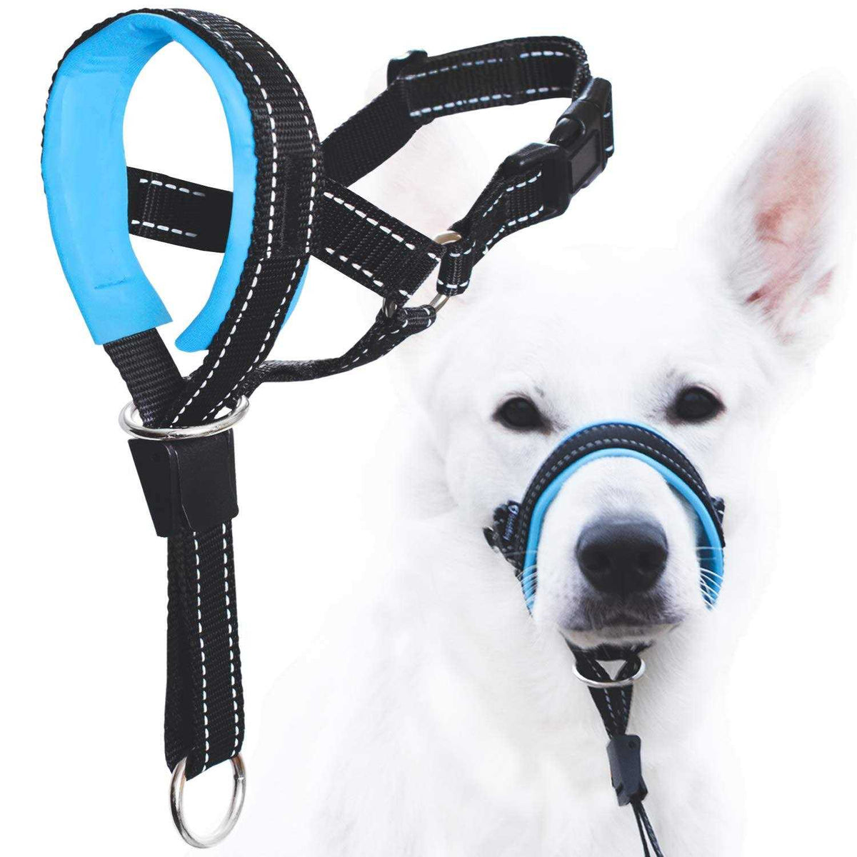 Dog Head Halter with Safety Strap B699405