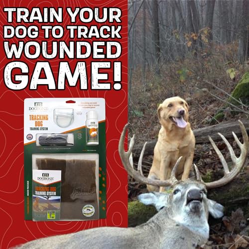 Dog Training Kit O7362
