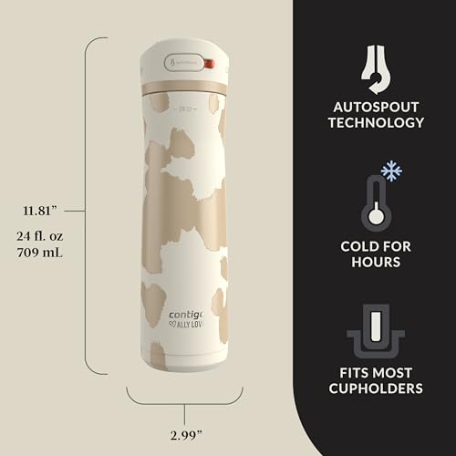24oz Stainless Steel Water Bottle with Straw & Handle Dual Insulated (Pack of 2) T548408