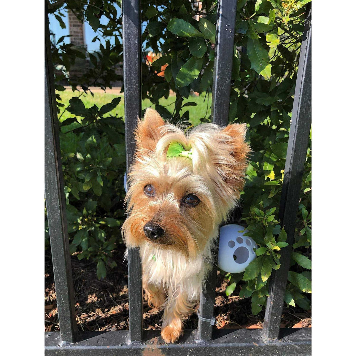Dog Harness L98553