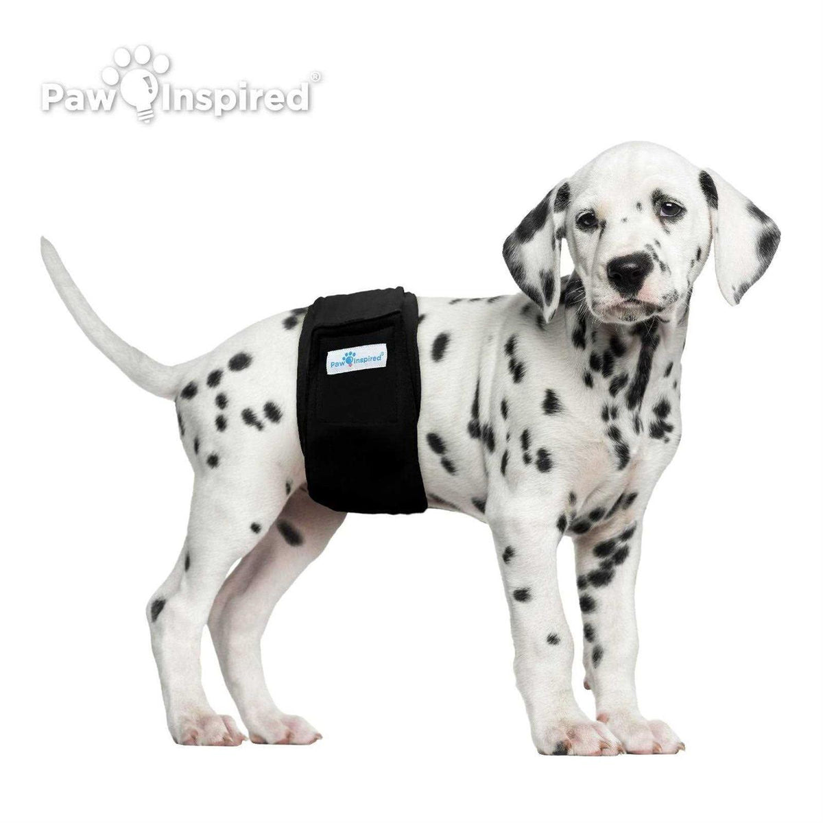 Male Dog Wraps Washable Belly Band D997