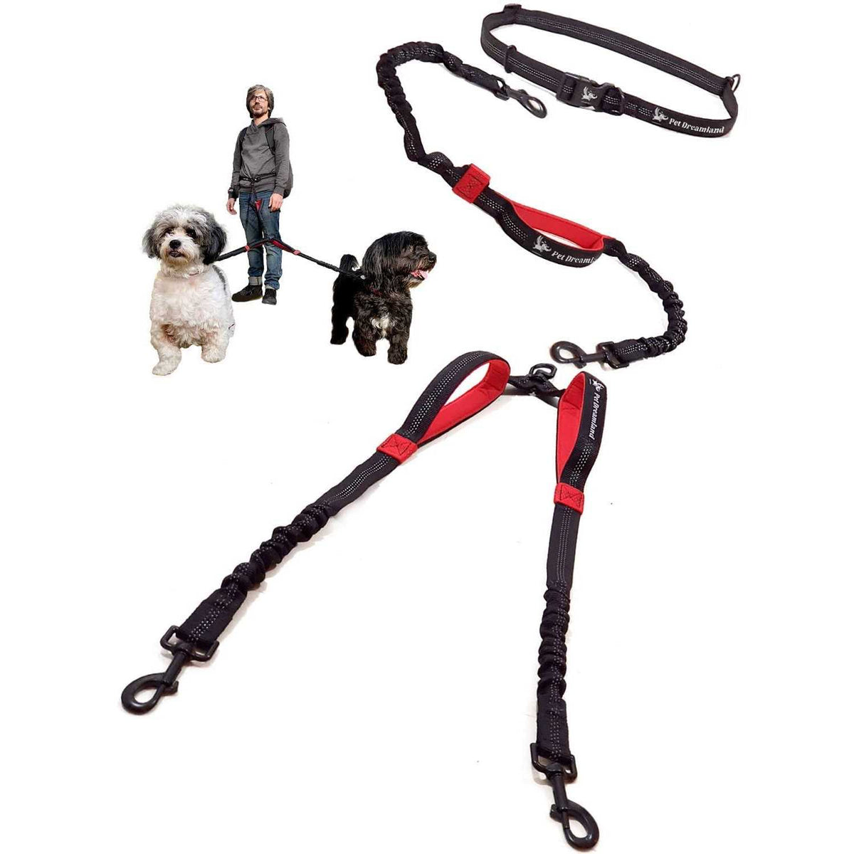 Double Dog Leash for Large Dogs D847