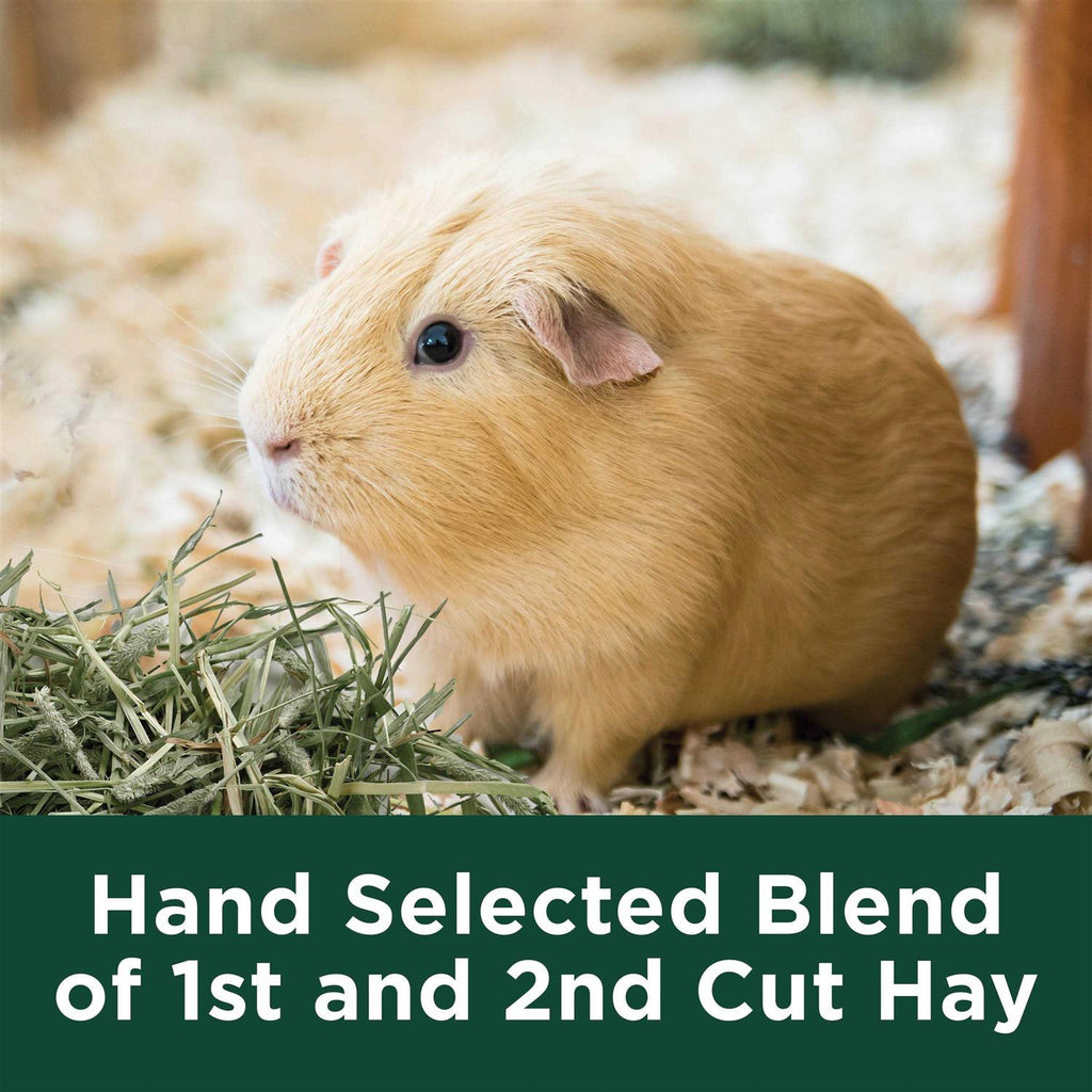 Timothy Hay J835836