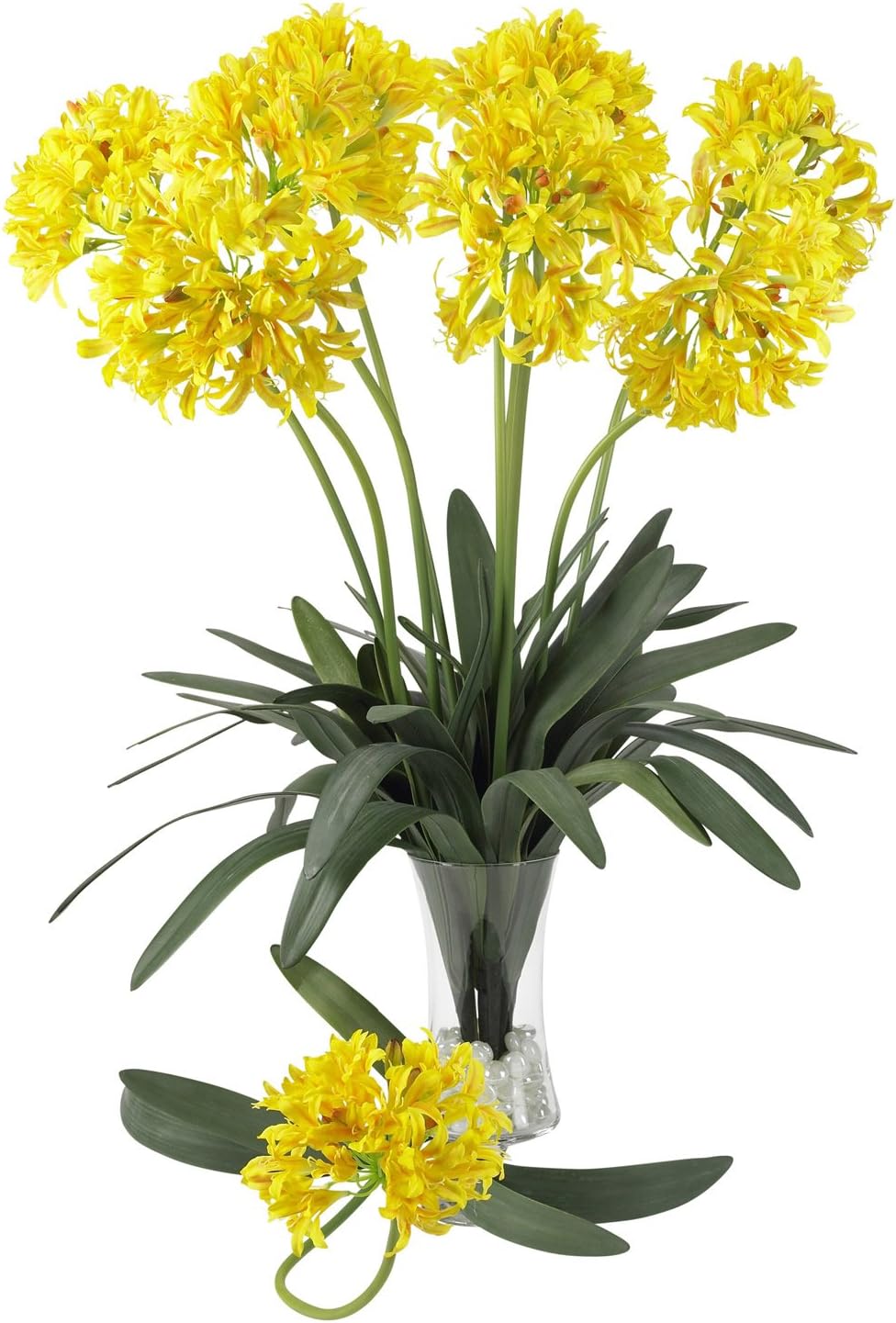 29 African Lily Stem (Set of 12) Yellow K157
