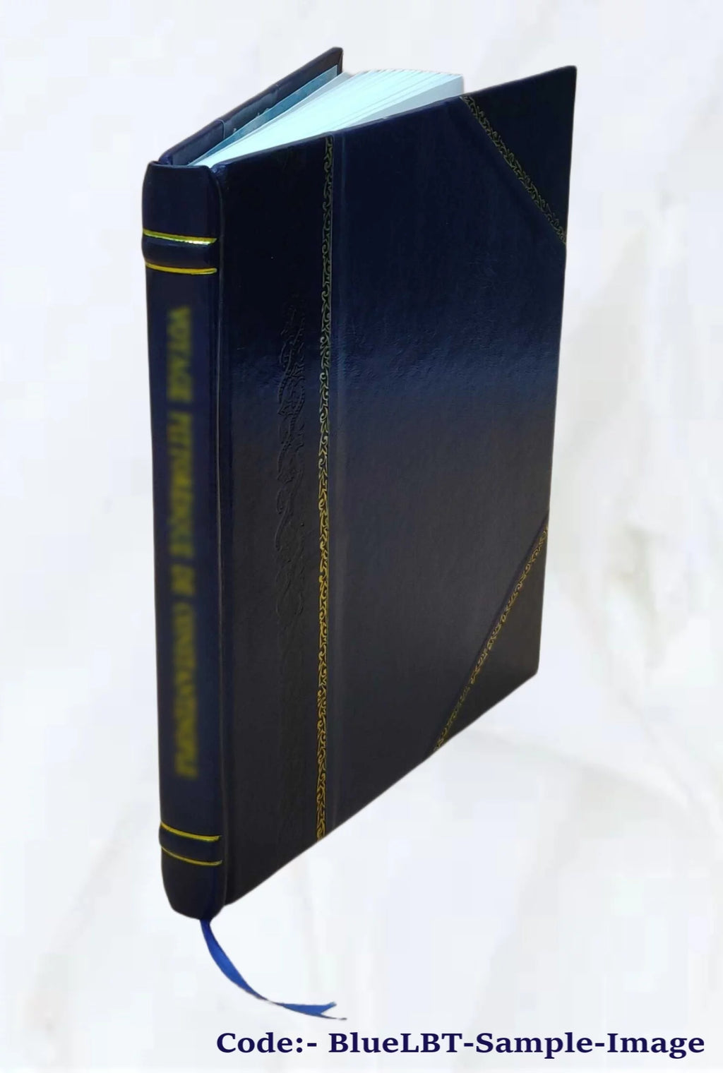 Museum Paintings and Sculptures Engravings V962