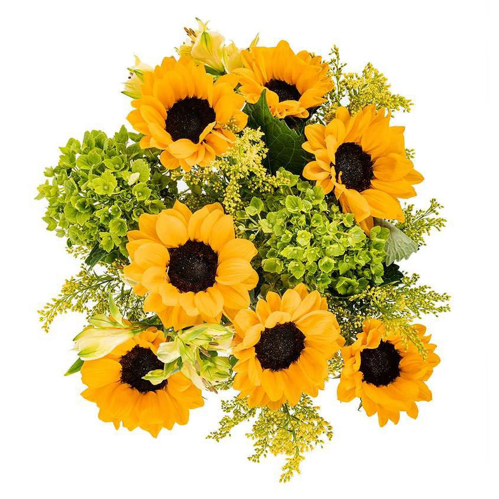 Fresh-Cut Yellow Flowers with Glass Vase B78911