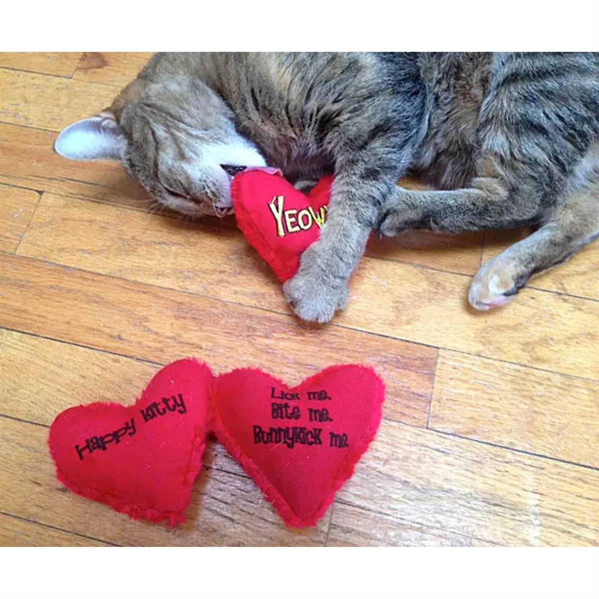 Catnip Toy R42155