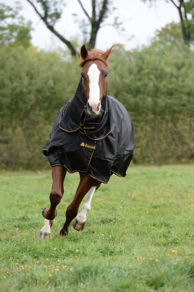 Black Irish Turnout Extra V13942