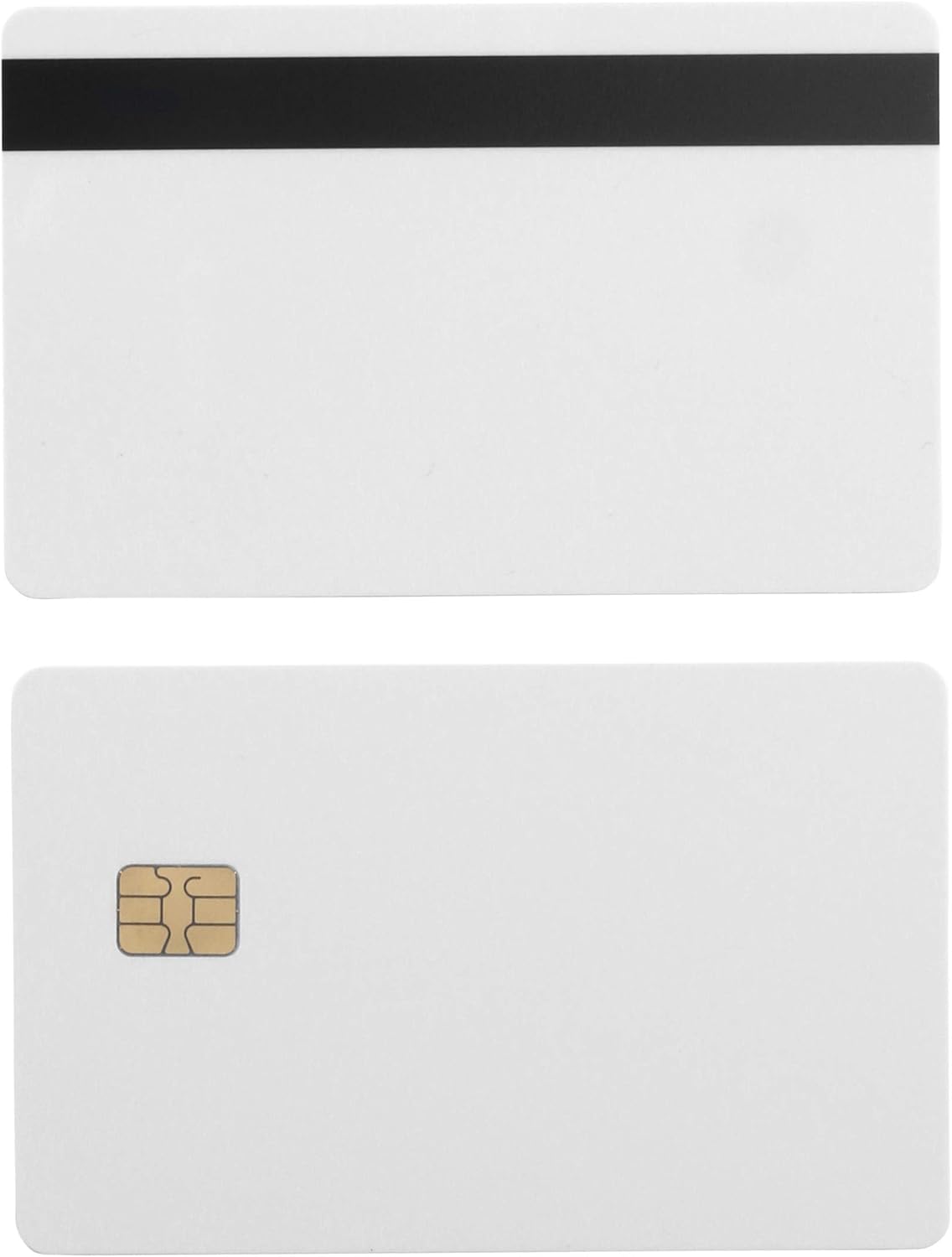 10 Pack Chip Cards with Mag Stripe D747