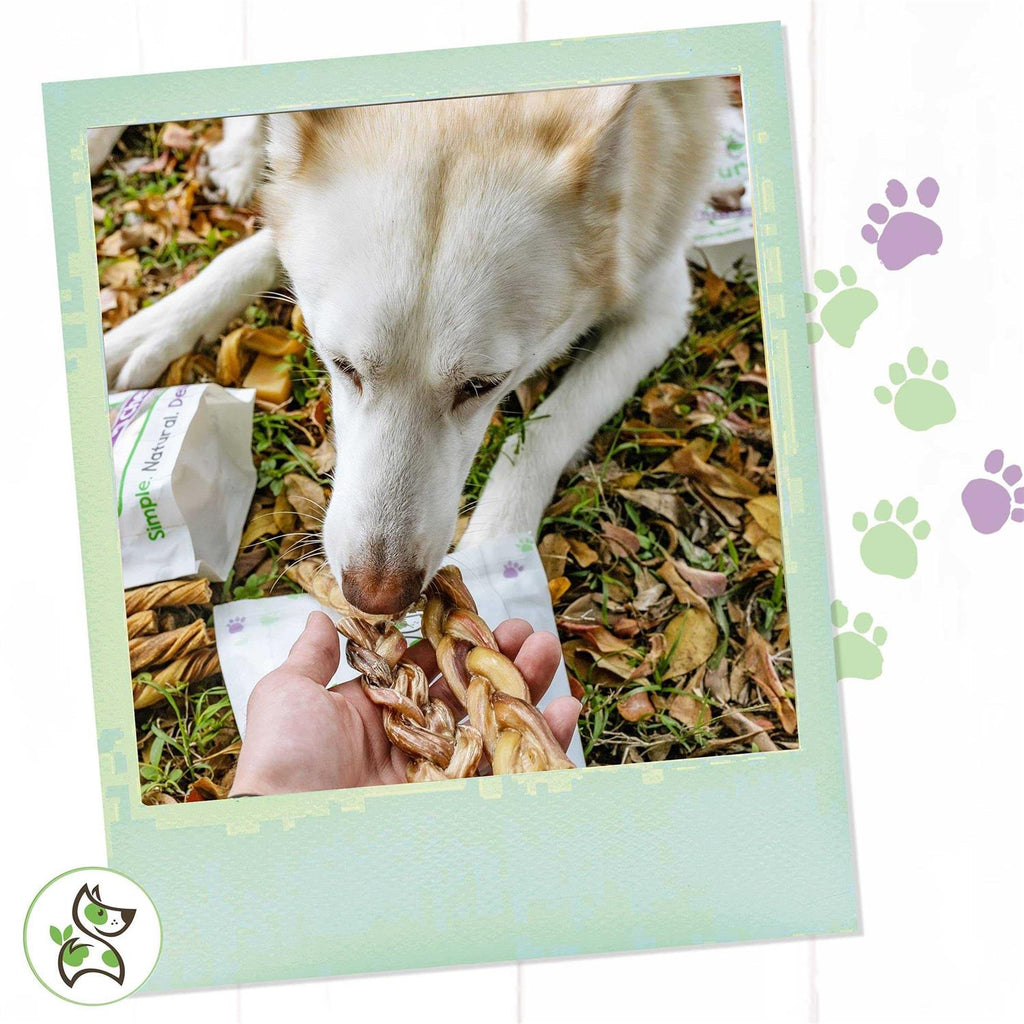 Braided Bully Sticks for Dogs Natural Beef Bones A16532