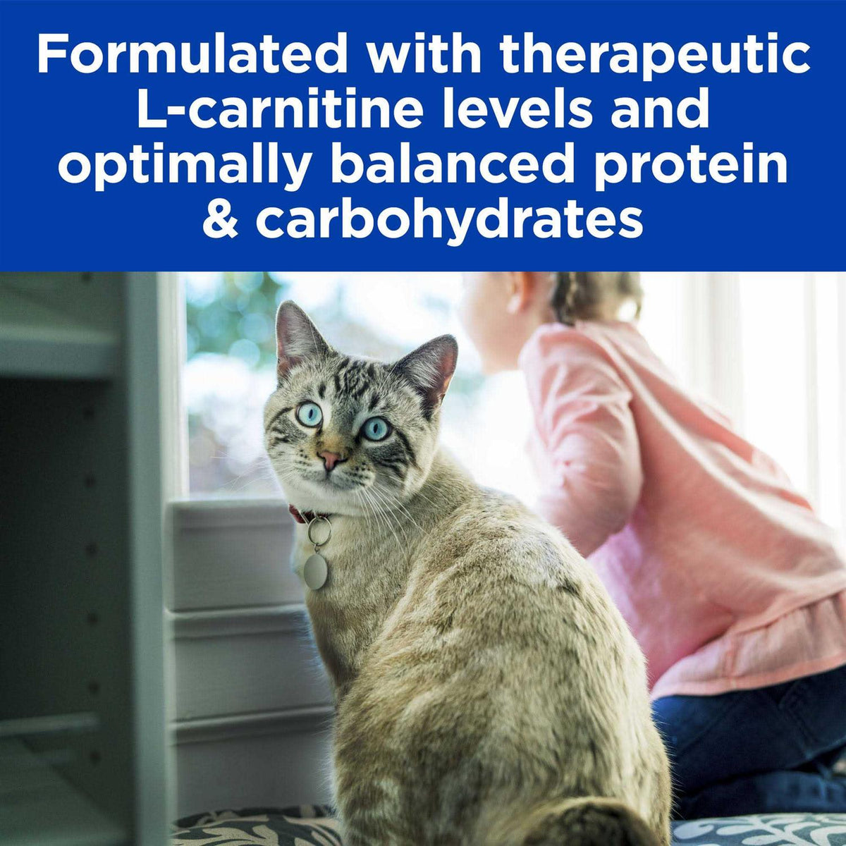 Glucose/Weight Management Cat Dry Food E2638