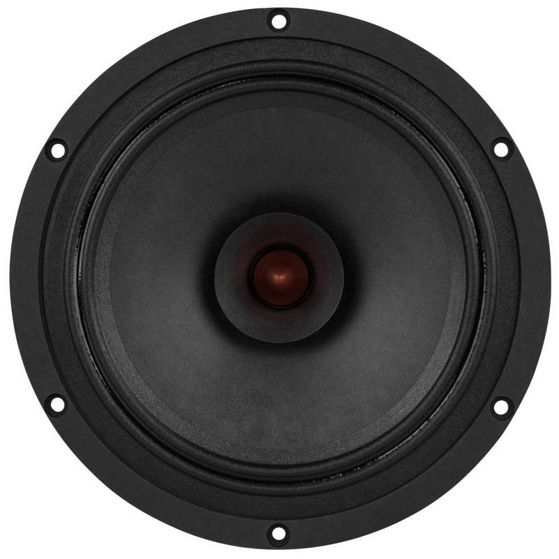 8x22 Point Source Full-Range Neo Driver Z79422