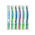 Toothbrush Display Case - Case of 24 - Assorted Colors X9878