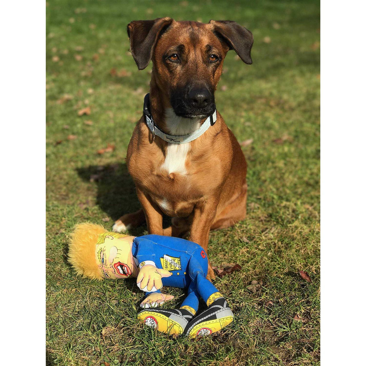 Donald Parody Dog Toy K6084