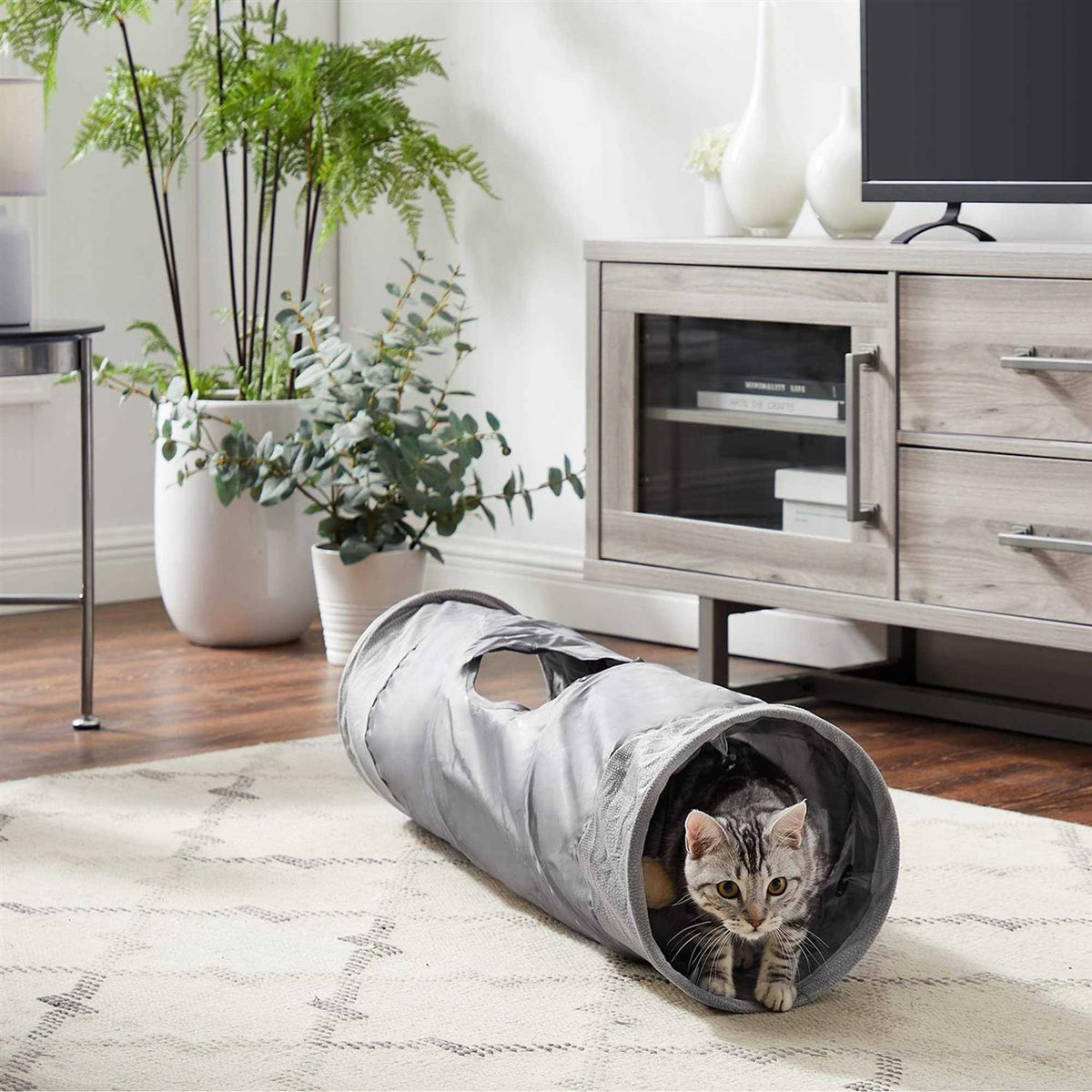 Cat Tunnel Y276563