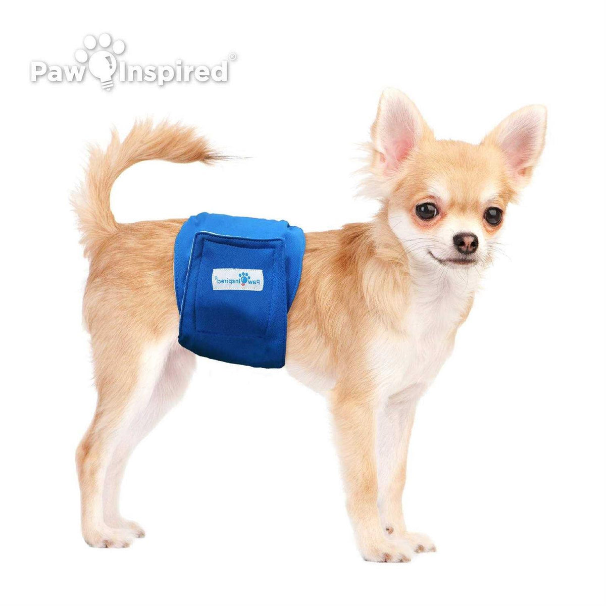Male Dog Wraps Washable Belly Band D997