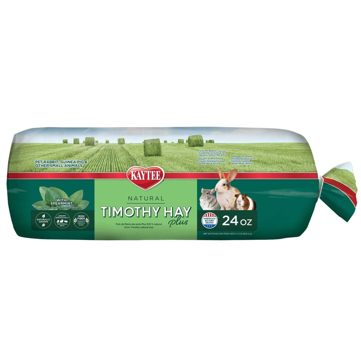 Timothy Hay J835836