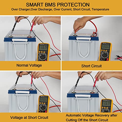 12V 100Ah LiFePO4 Lithium Battery with Smart BMS M717310