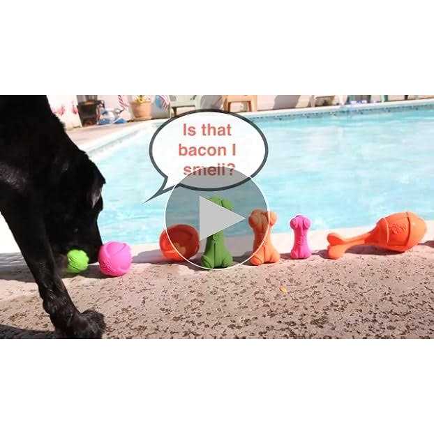 Dura Play Ball Dog Toy I320