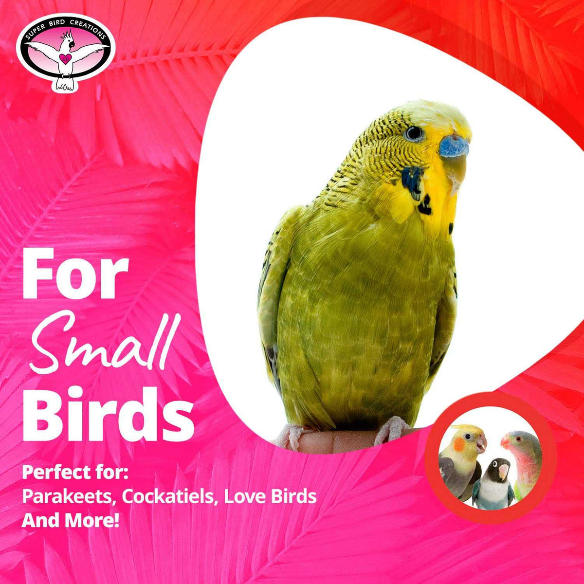 Mini Flying Trapeze Bird Toy K982