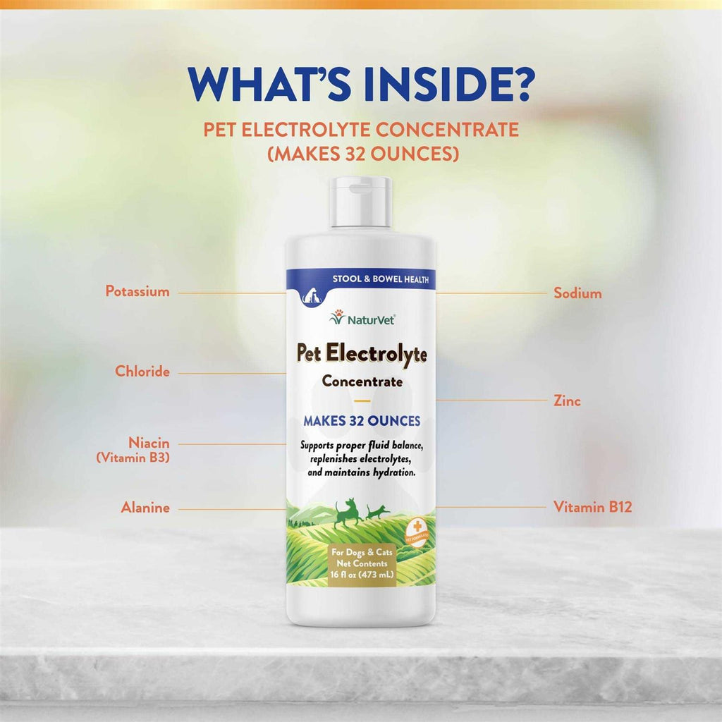 Pet Electrolyte Concentrate 16 oz S56884