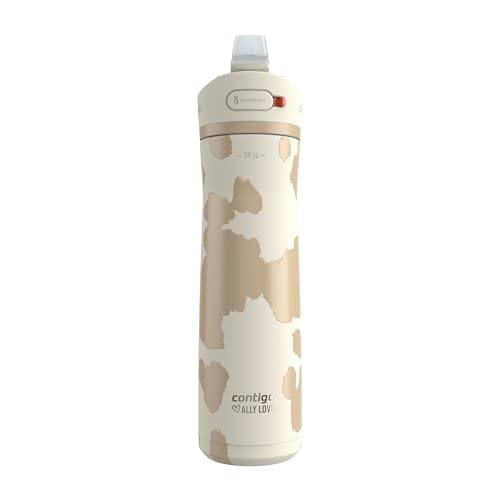 24oz Stainless Steel Water Bottle with Straw & Handle Dual Insulated (Pack of 2) T548408