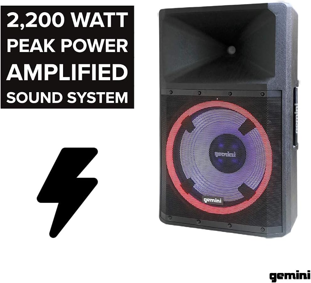 Indoor Outdoor Bluetooth Speaker with 15 Inch Woofer X854