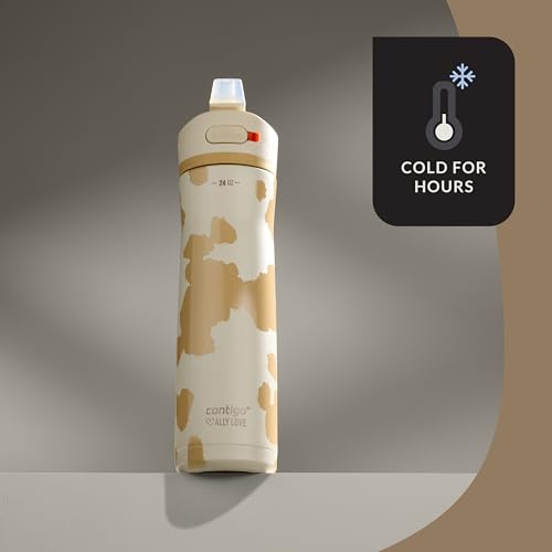 24oz Stainless Steel Water Bottle with Straw & Handle Dual Insulated (Pack of 2) T548408